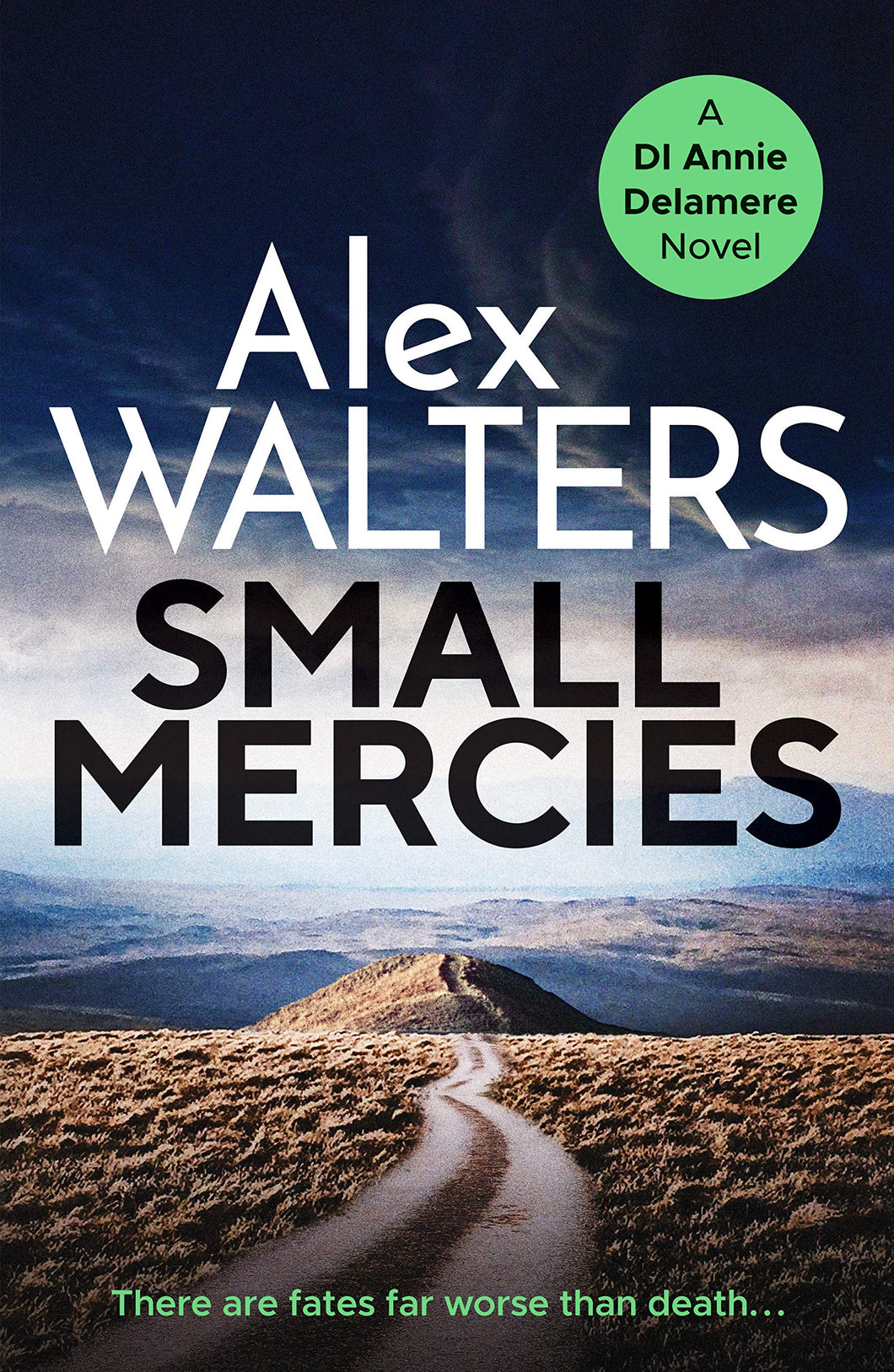 SMALL MERCIES