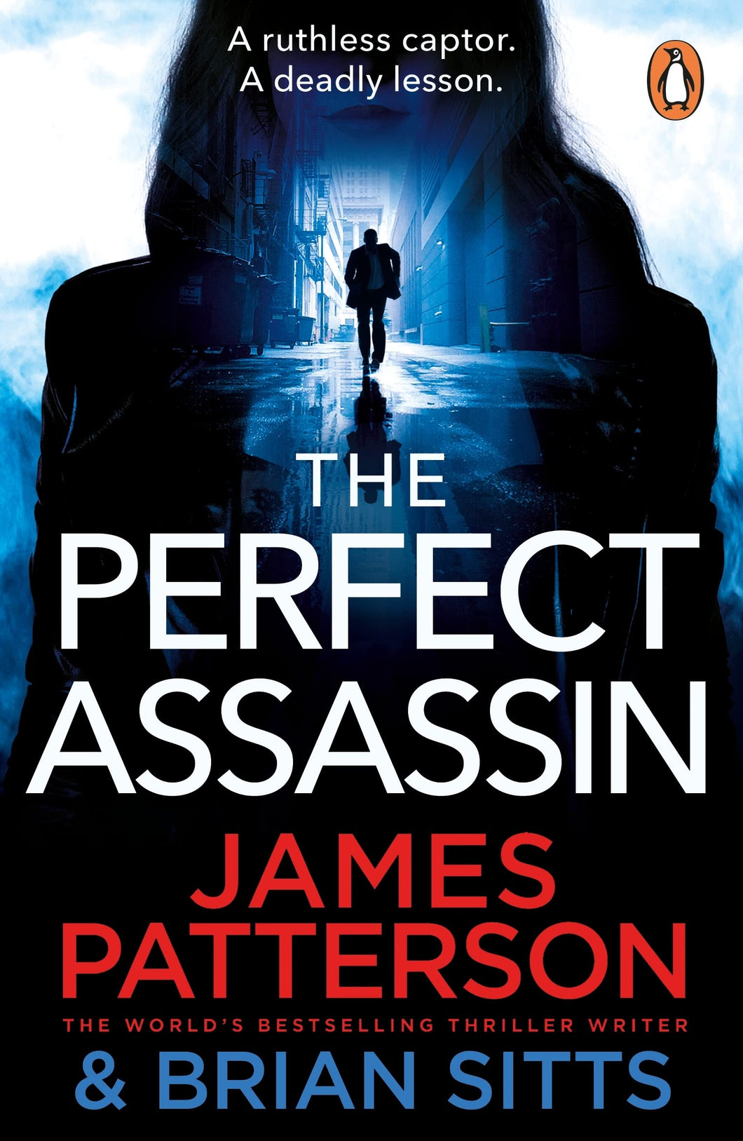 THE PERFECT ASSASSIN