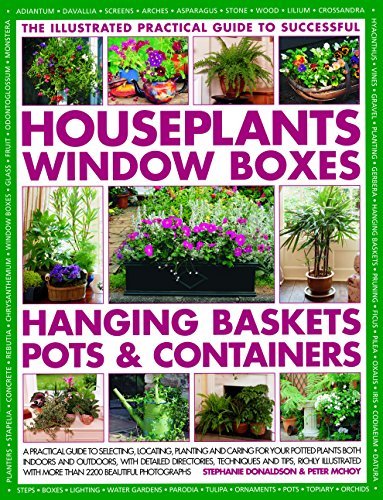 Successful Houseplants, Window Boxes,