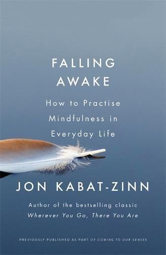 FALLING AWAKE