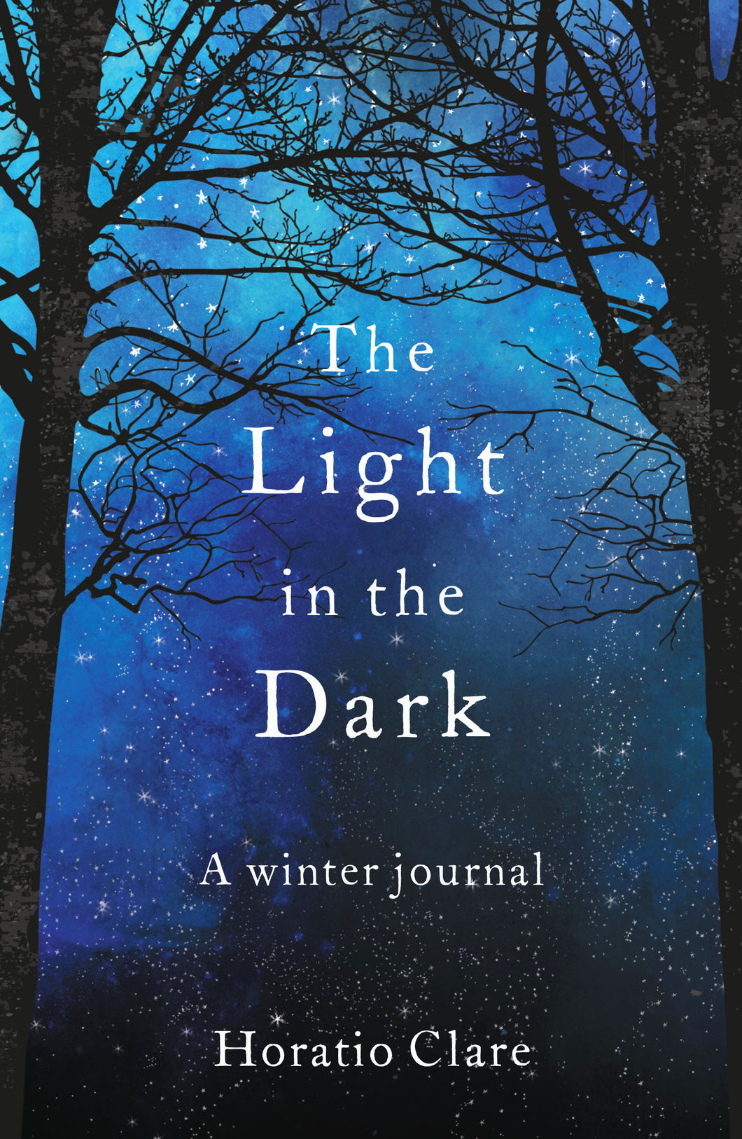 THE LIGHT IN THE DARK
