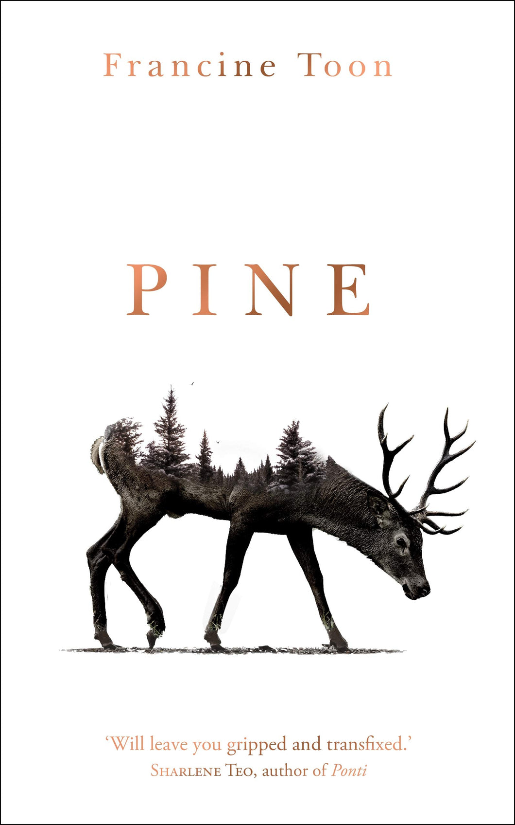 PINE