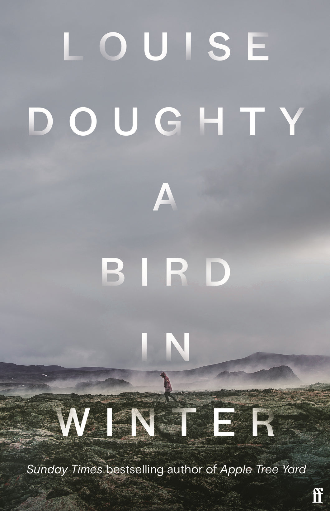 A BIRD IN WINTER