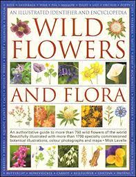 WILD FLOWERS AND FLORA