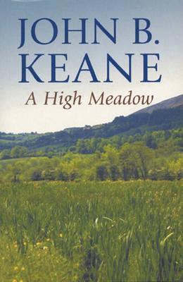 A HIGH MEADOW