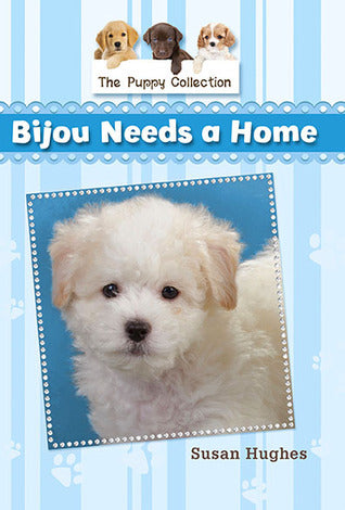 Bijou Needs A Home