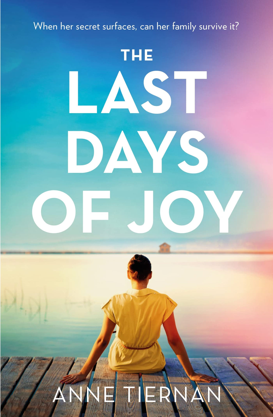 The Last Days Of Joy