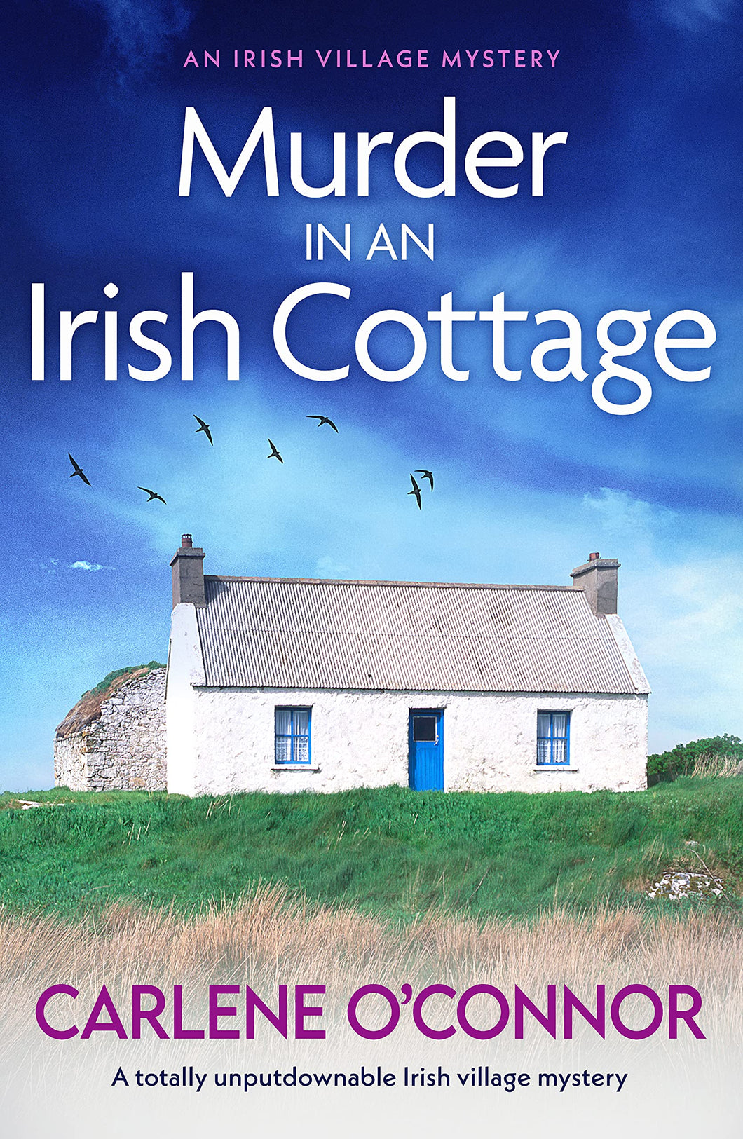 Murder In An Irish Cottage