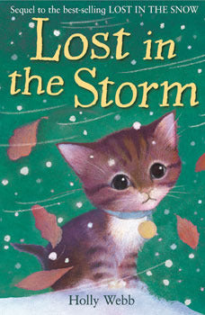 Lost In The Storm