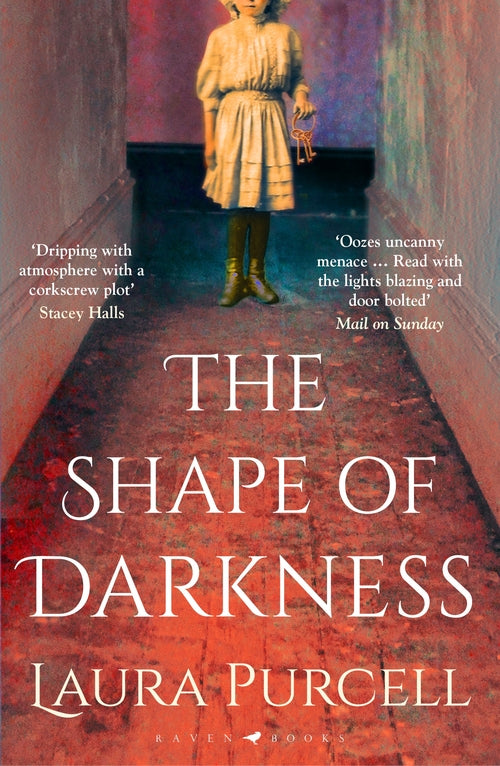 THE SHAPE OF DARKNESS