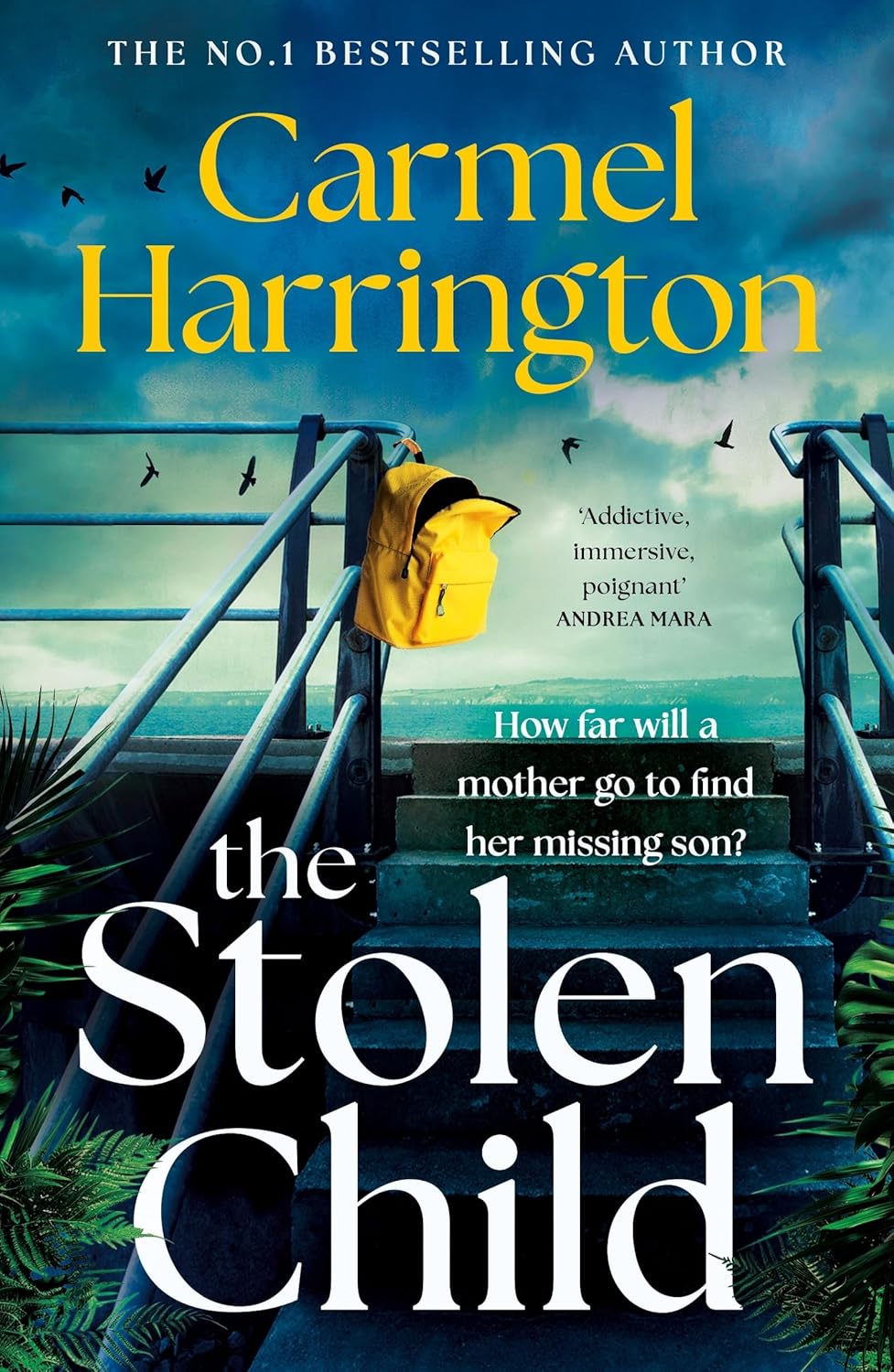 THE STOLEN CHILD
