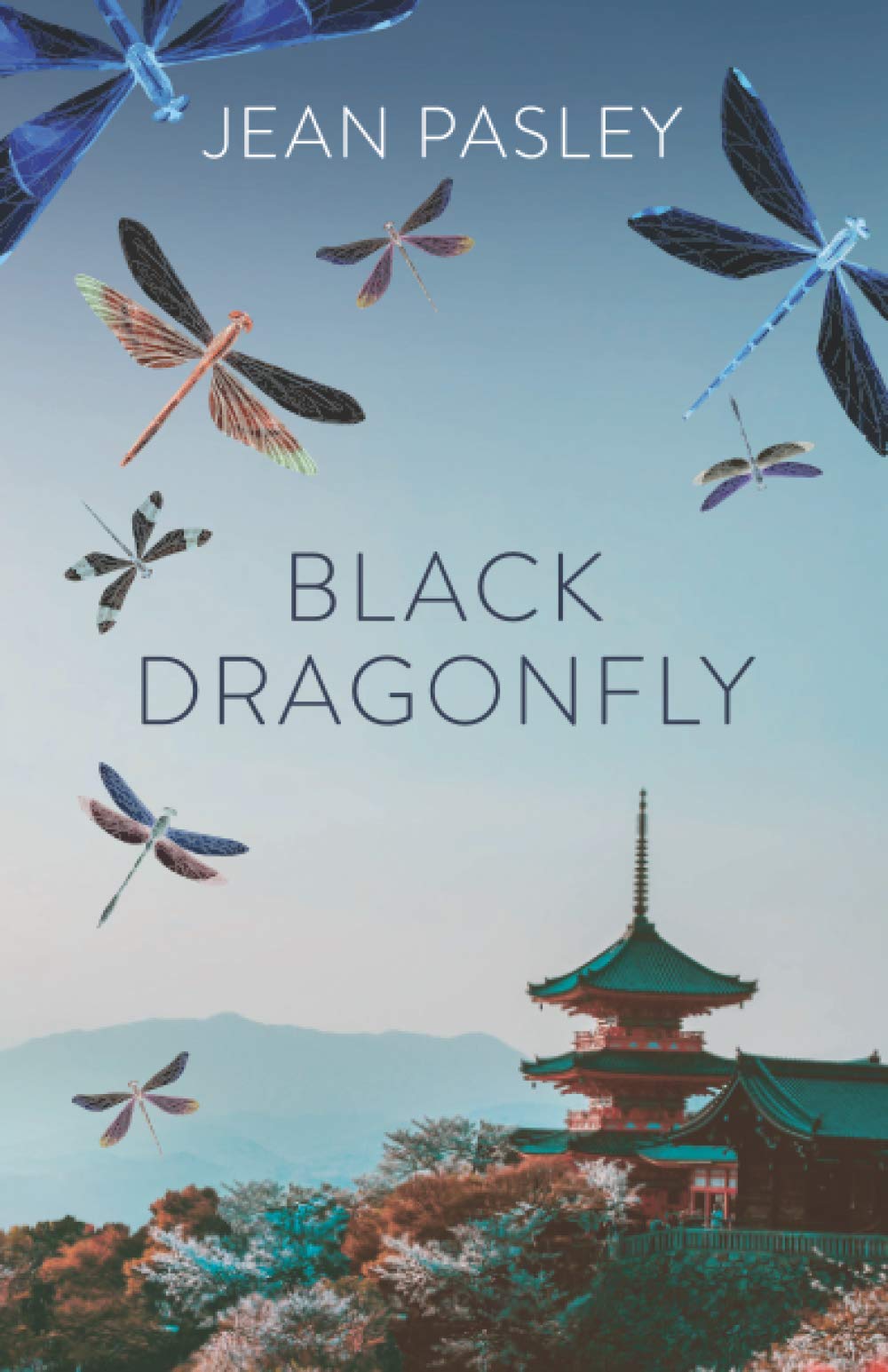 BLACK DRAGONFLY