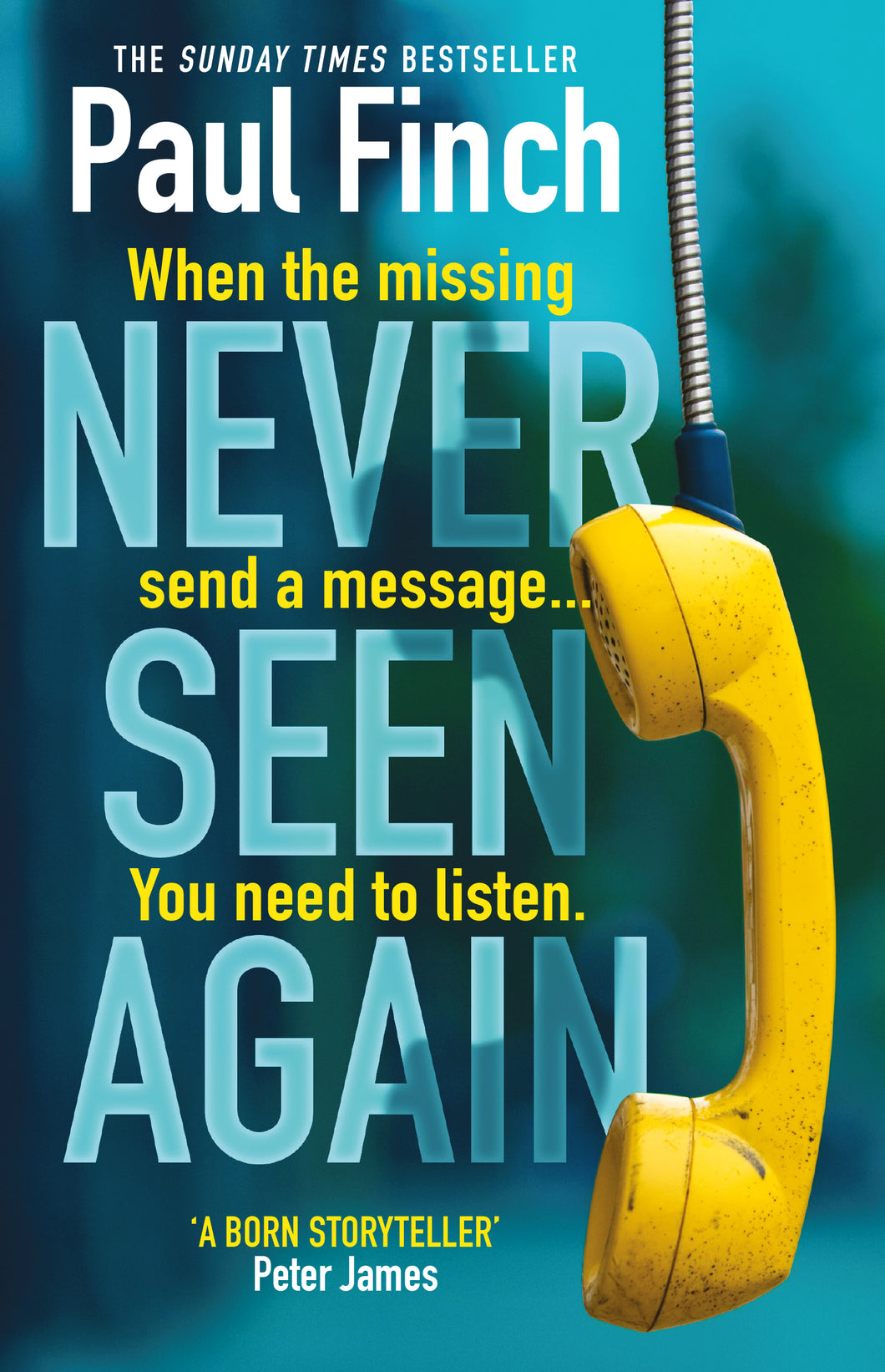 NEVER SEEN AGAIN