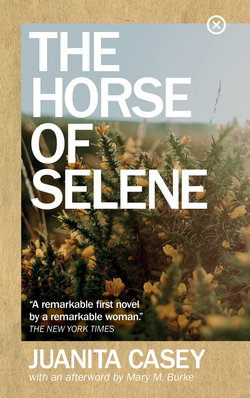 THE HORSE OF SELENE