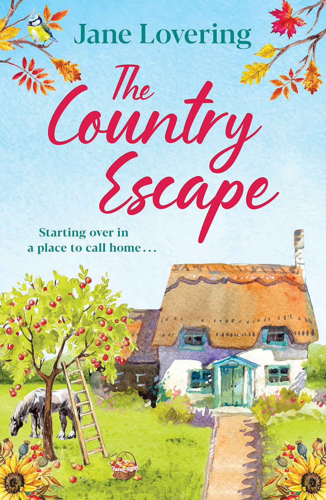 THE COUNTRY ESCAPE