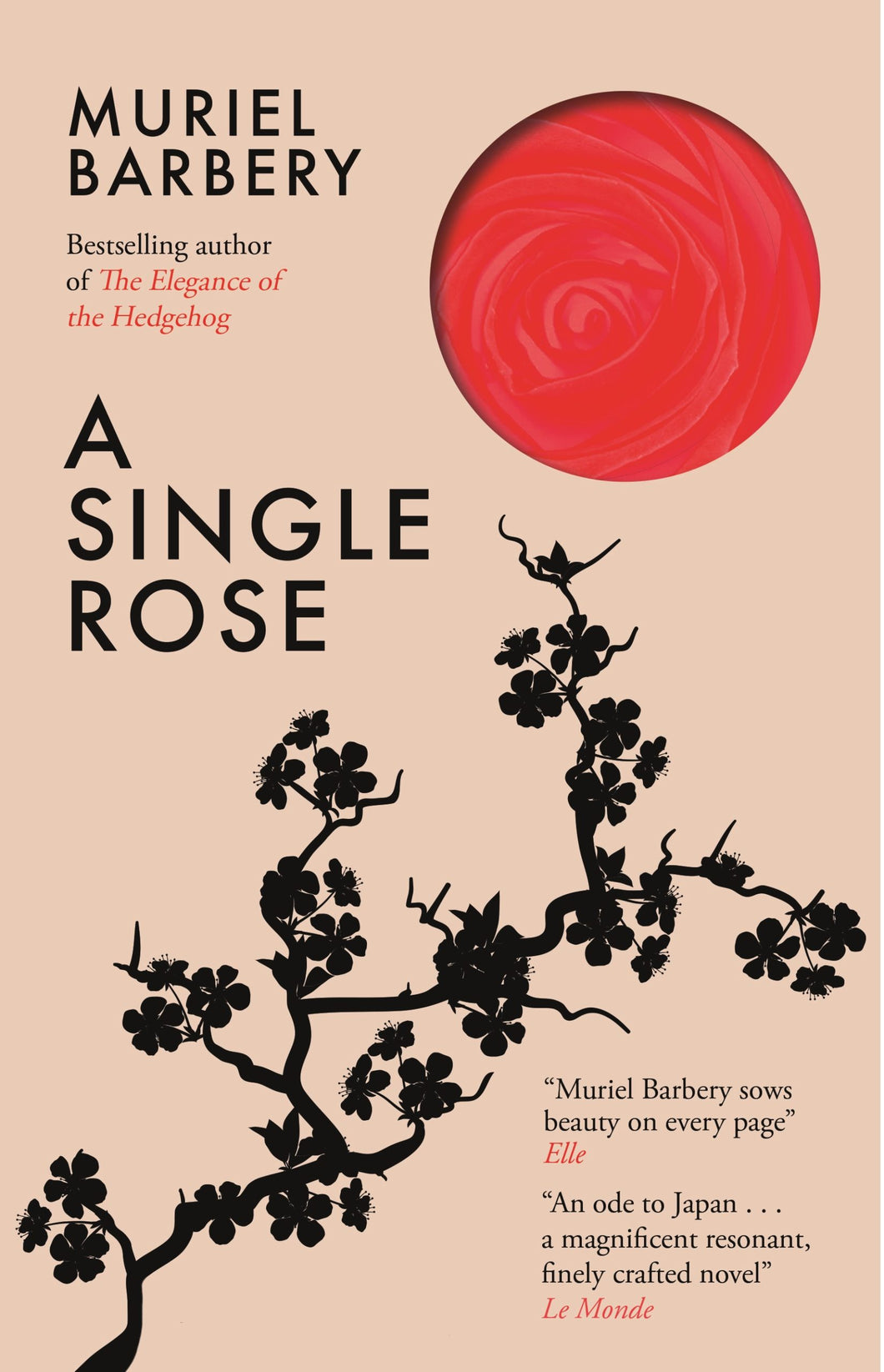 a single rose