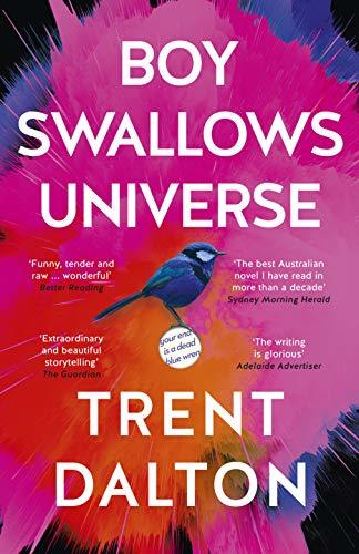 BOY SWALLOWS UNIVERSE