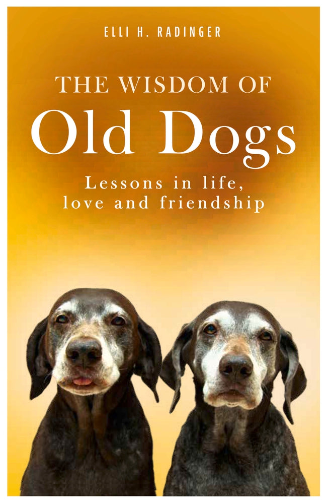 THE WISDOM OF OLD DOGS