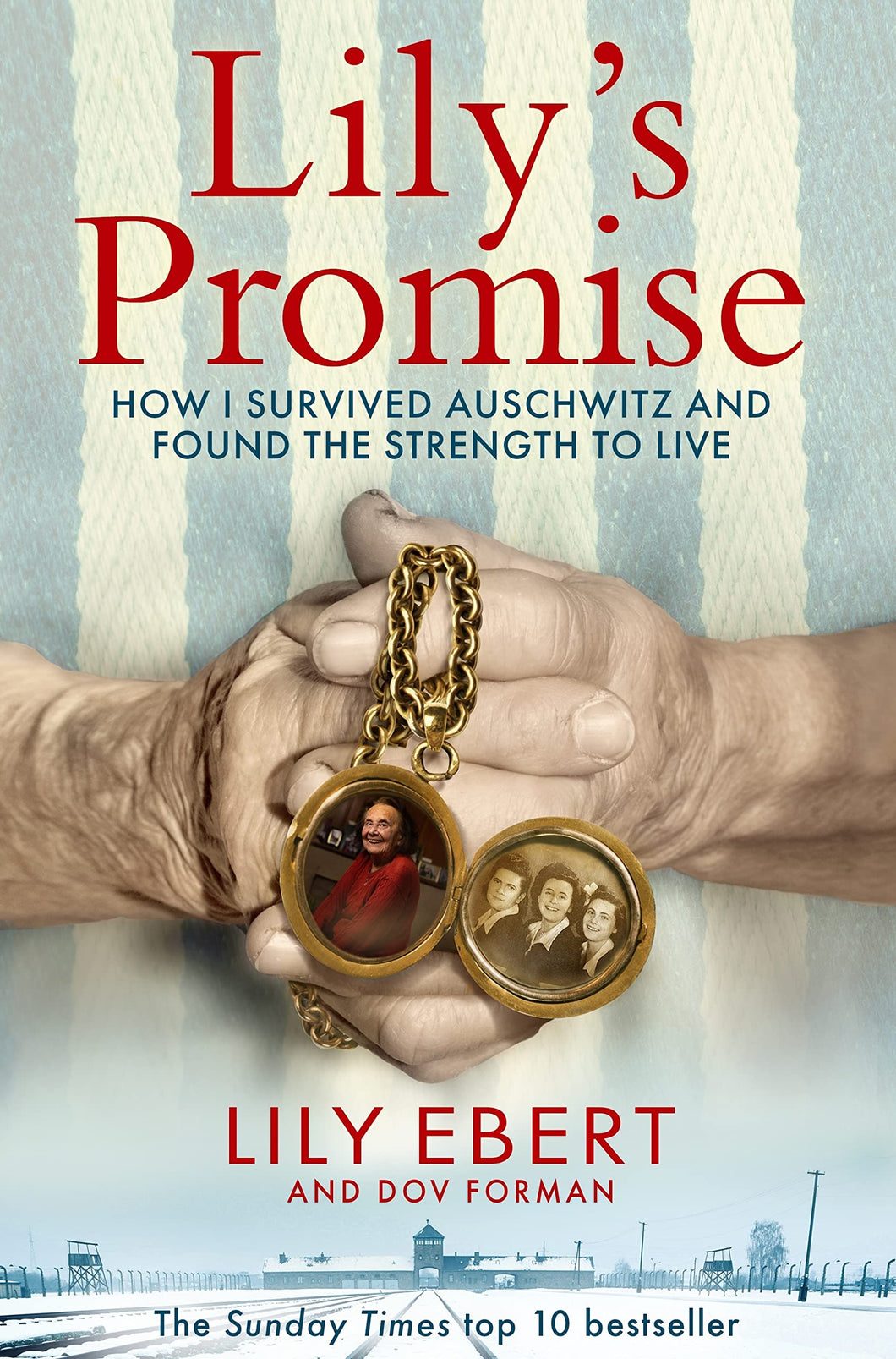LILY'S PROMISE