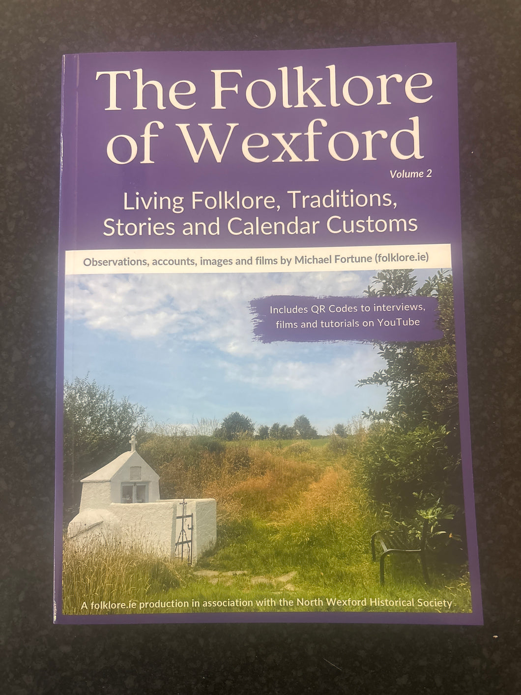 THE FOLKLORE OF COUNTY WEXFORD VOLUME 2
