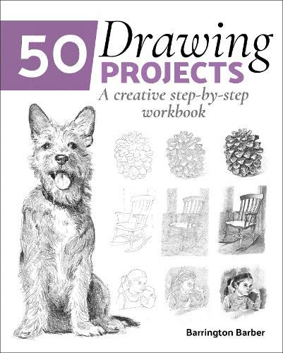50 DRAWING PROJECTS