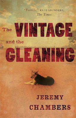 THE VINTAGE AND THE GLEAMING