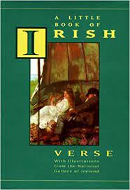 A LITTLE BOOK OF IRISH