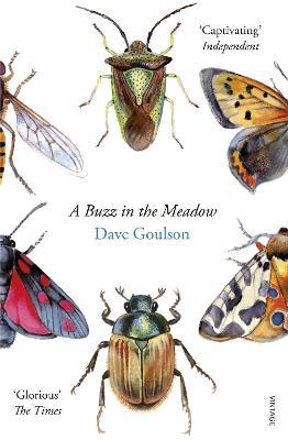 A BUZZ IN THE MEADOW