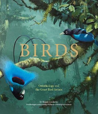 birds