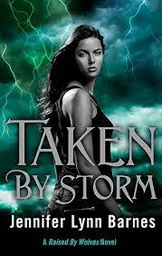 Taken By Storm