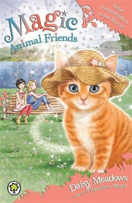 Magic Animal Friends