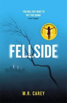 FELLSIDE