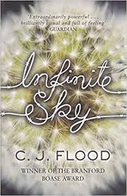Infinite sky