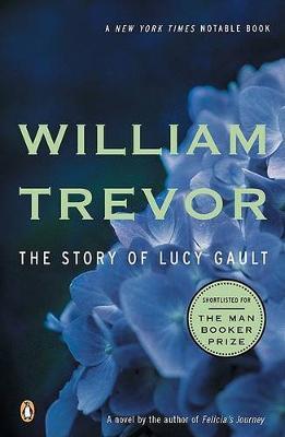 The Story Of Lucy Gault