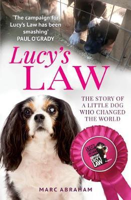 Lucys Law