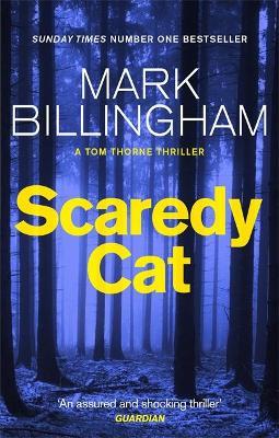 Scardey Cat