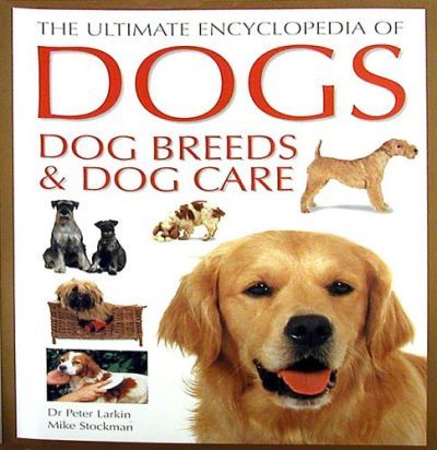 Dogs Dog Breeds And Dog Care