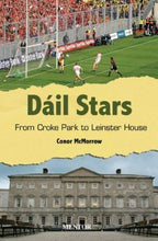 Load image into Gallery viewer, Dail Stars
