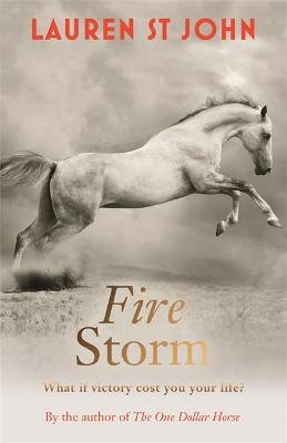 FIRE STORM
