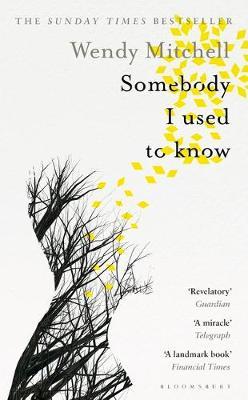 Somebody I Used To Know