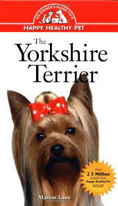 THE YORKSHIRE TERRIER