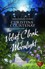 The velvet cloak of moonlight