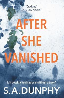AFTER SHE VANISHED