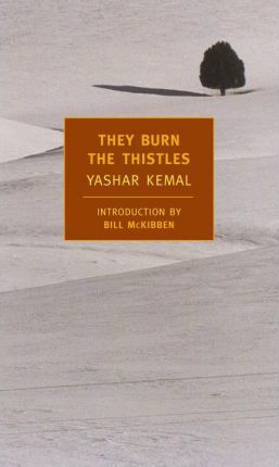 they burn the thistles