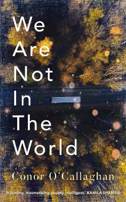 WE ARE NOT IN THE WORLD