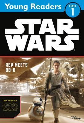 STAR WARS: REY MEETS BB-8