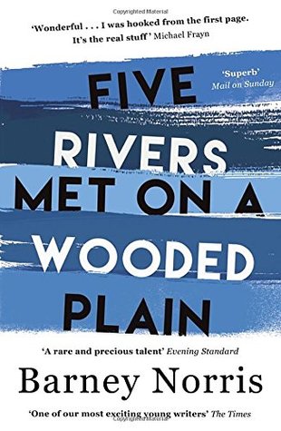 Five Rivers Meet On A Wooded Plain