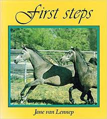 FIRST STEPS