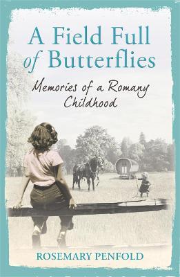 A FIELD FULL OF BUTTERFLIES