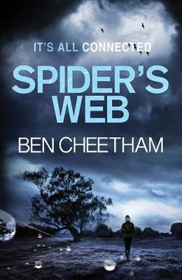 SPIDER'S WEB